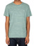 Chamisso Tee [green blue]
