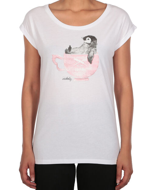 Pingulax tea [white]